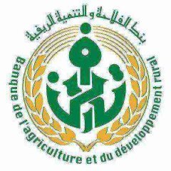 BADR Bank